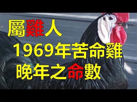 69年次 生肖